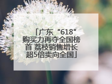 广东“618”购买力再夺全国榜首 荔枝销售增长超5倍卖向全国