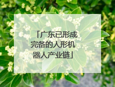 广东已形成完备的人形机器人产业链