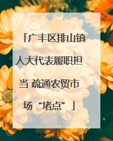 广丰区排山镇人大代表履职担当 疏通农贸市场“堵点”