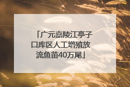 广元嘉陵江亭子口库区人工增殖放流鱼苗40万尾