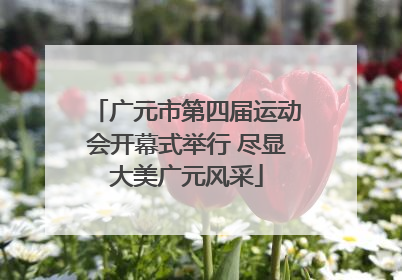广元市第四届运动会开幕式举行 尽显大美广元风采