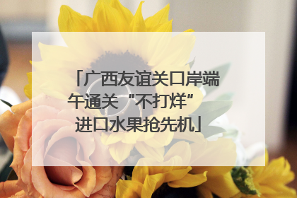 广西友谊关口岸端午通关“不打烊” 进口水果抢先机