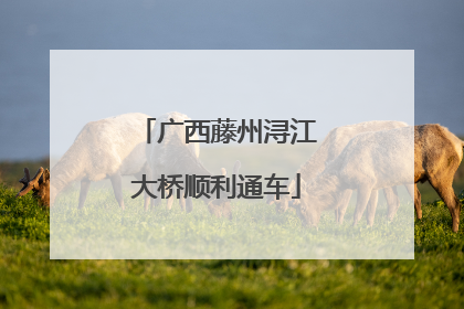广西藤州浔江大桥顺利通车