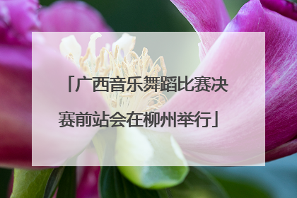 广西音乐舞蹈比赛决赛前站会在柳州举行