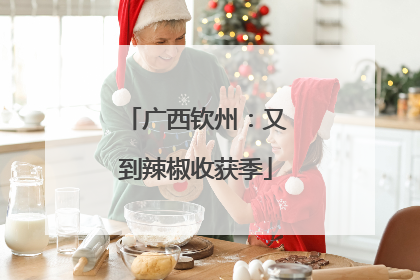 广西钦州：又到辣椒收获季