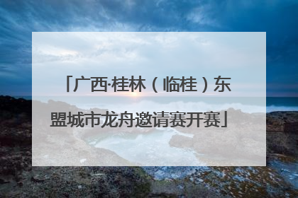 广西·桂林（临桂）东盟城市龙舟邀请赛开赛