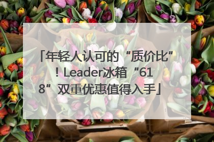 年轻人认可的“质价比”！Leader冰箱“618”双重优惠值得入手