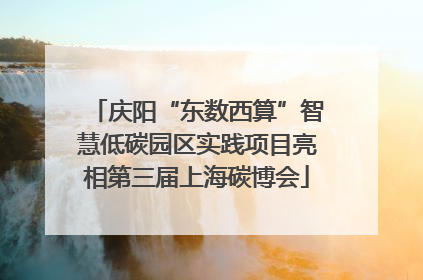 庆阳“东数西算”智慧低碳园区实践项目亮相第三届上海碳博会