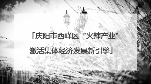 庆阳市西峰区“火辣产业”激活集体经济发展新引擎