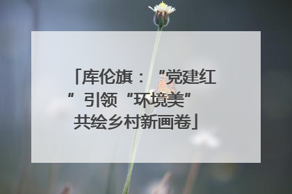库伦旗：“党建红”引领“环境美” 共绘乡村新画卷