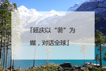 延庆以“薯”为媒，对话全球