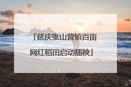 延庆张山营镇百亩网红稻田启动插秧