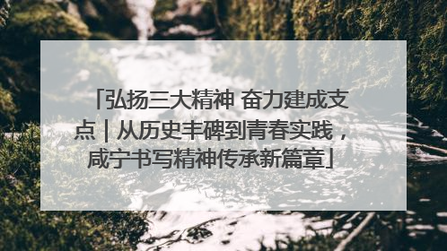 弘扬三大精神 奋力建成支点｜从历史丰碑到青春实践，咸宁书写精神传承新篇章