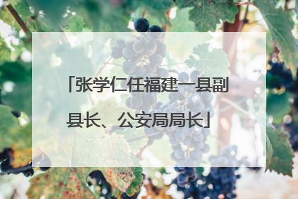 张学仁任福建一县副县长、公安局局长