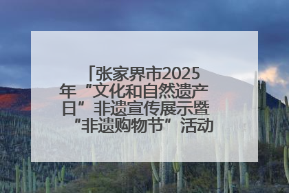 张家界市2025年“文化和自然遗产日”非遗宣传展示暨“非遗购物节”活动在慈利县盛大启幕