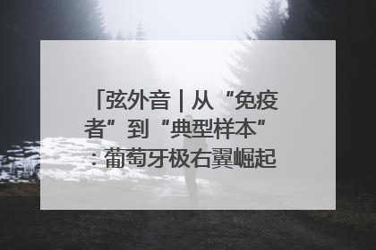 弦外音｜从“免疫者”到“典型样本”：葡萄牙极右翼崛起背后的欧洲困局