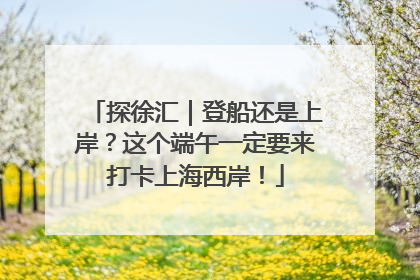 探徐汇｜登船还是上岸？这个端午一定要来打卡上海西岸！
