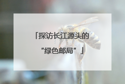 探访长江源头的“绿色邮局”