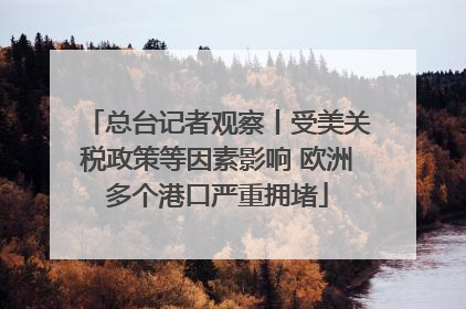总台记者观察丨受美关税政策等因素影响 欧洲多个港口严重拥堵