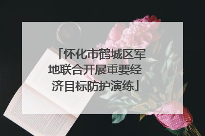 怀化市鹤城区军地联合开展重要经济目标防护演练