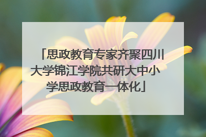 思政教育专家齐聚四川大学锦江学院共研大中小学思政教育一体化