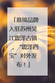 意境品牌入驻苏州吴江震泽古镇，“震泽四宝”对外发布！