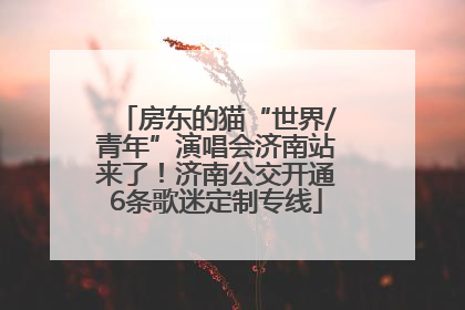 房东的猫“世界/青年”演唱会济南站来了！济南公交开通6条歌迷定制专线