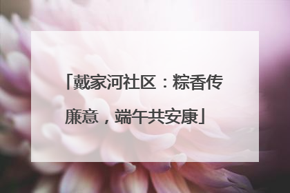 戴家河社区：粽香传廉意，端午共安康