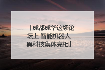 成都成华这场论坛上 智能机器人黑科技集体亮相