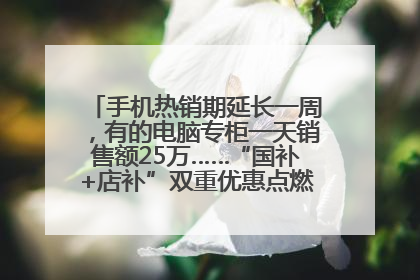 手机热销期延长一周，有的电脑专柜一天销售额25万……“国补+店补”双重优惠点燃德州“考后经济”