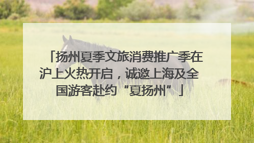 扬州夏季文旅消费推广季在沪上火热开启，诚邀上海及全国游客赴约“夏扬州”