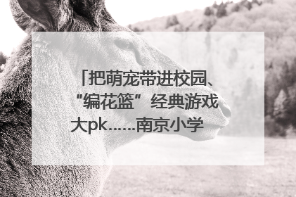 把萌宠带进校园、“编花篮”经典游戏大pk……南京小学花式“庆六一”
