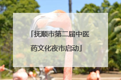 抚顺市第二届中医药文化夜市启动