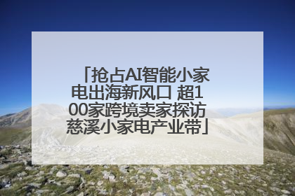抢占AI智能小家电出海新风口 超100家跨境卖家探访慈溪小家电产业带
