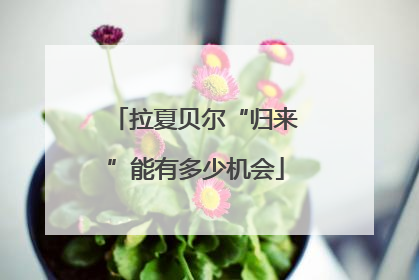 拉夏贝尔“归来”能有多少机会