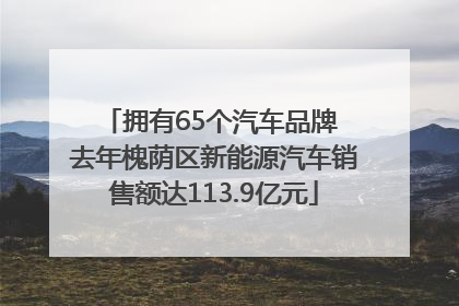 拥有65个汽车品牌 去年槐荫区新能源汽车销售额达113.9亿元