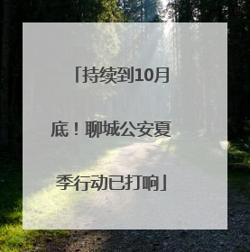 持续到10月底！聊城公安夏季行动已打响