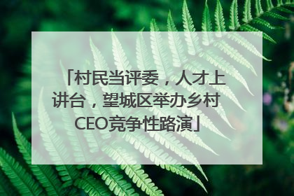 村民当评委，人才上讲台，望城区举办乡村CEO竞争性路演