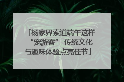 杨家界索道端午这样“宠游客” 传统文化与趣味体验点亮佳节
