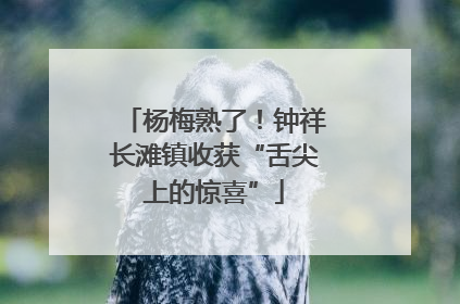 杨梅熟了！钟祥长滩镇收获“舌尖上的惊喜”