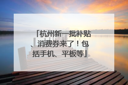 杭州新一批补贴、消费券来了！包括手机、平板等
