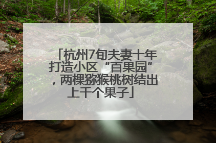 杭州7旬夫妻十年打造小区“百果园”，两棵猕猴桃树结出上千个果子