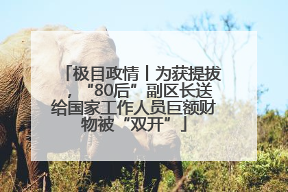 极目政情丨为获提拔，“80后”副区长送给国家工作人员巨额财物被“双开”