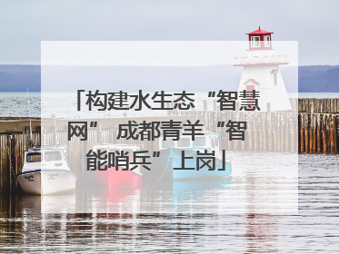 构建水生态“智慧网” 成都青羊“智能哨兵”上岗