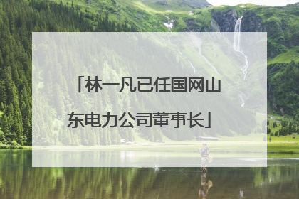 林一凡已任国网山东电力公司董事长