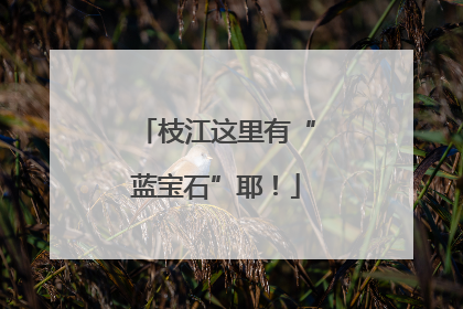 枝江这里有“蓝宝石”耶！