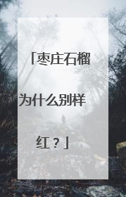 枣庄石榴为什么别样红？