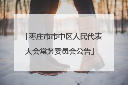 枣庄市市中区人民代表大会常务委员会公告
