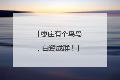 枣庄有个鸟岛，白鹭成群！