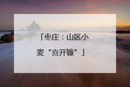 枣庄：山区小麦“喜开镰”